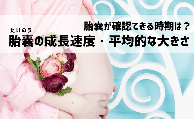 胎嚢はいつ確認できる 成長速度や平均的な大きさの目安とは 妊活 妊娠ブログ 初めてママ応援隊