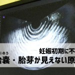 子宮外妊娠でのhcg数値は 高い 低い時の異常妊娠可能性は 妊活 妊娠ブログ 初めてママ応援隊