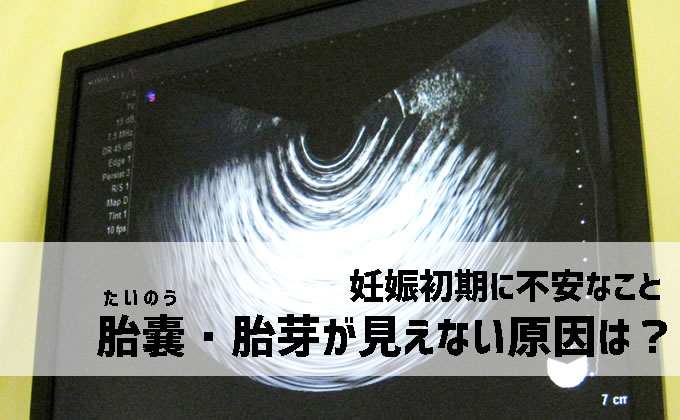 胎嚢や胎芽が見えない原因は 妊娠初期の不安解決 妊活 妊娠ブログ 初めてママ応援隊